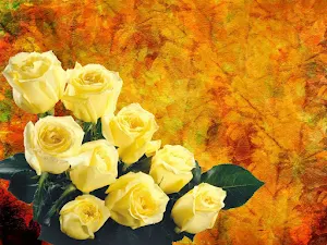 Yellow Rose Wallpaper HD Screenshot 0