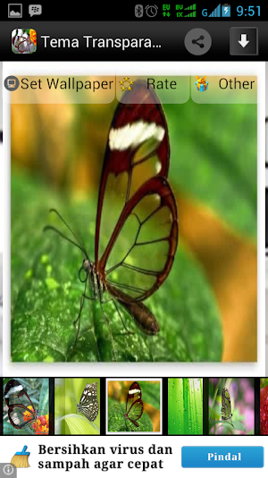 Tema Transparan Screenshot 3
