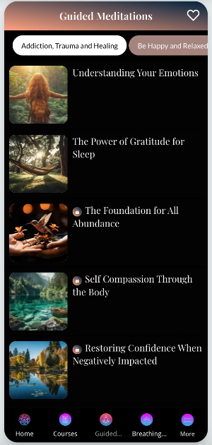 Discover My Light Academy Screenshot 2