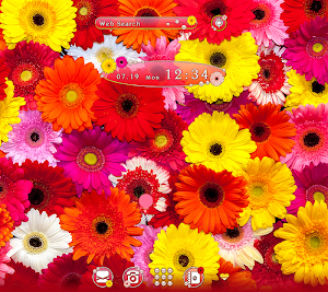 Colorful Gerbera Flowers Theme Screenshot 0