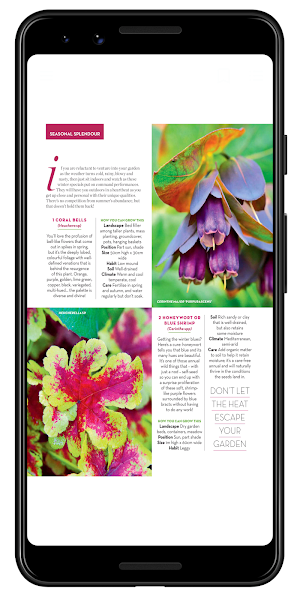 Better Homes and Gardens Aus Screenshot 1