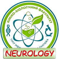 Human Anatomy. Neurology