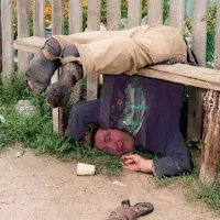 Funny pictures