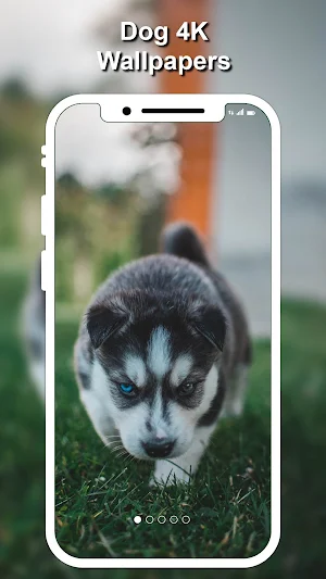 Dog Wallpapers & Puppy Backgro Screenshot 3