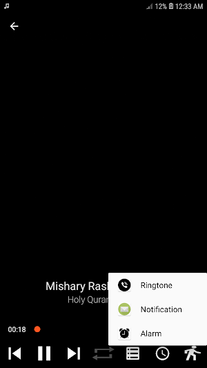 Holy Quran Juz 15 MP3 Screenshot 2