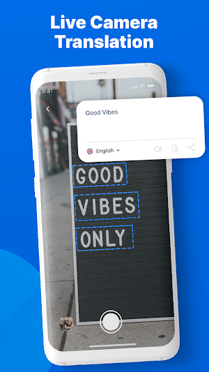 Dictionary-Translate Languages Screenshot 2