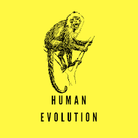 Human Evolution