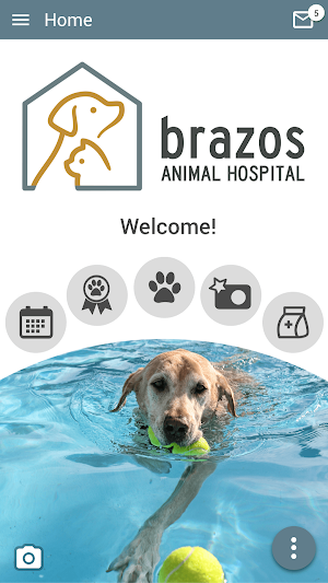 Brazos Animal Hospital Screenshot 0