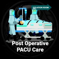 3D Post Operative PACU Guide