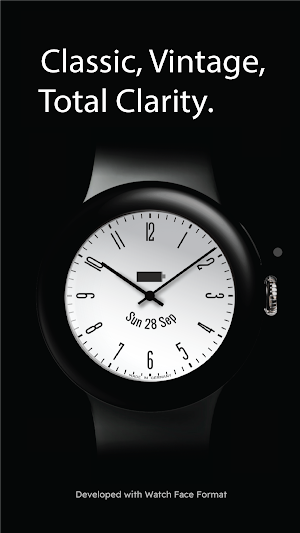 Antiqua Watch Face Screenshot 1