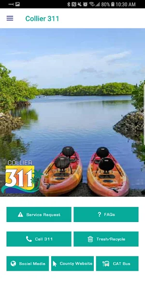 Collier 311 Screenshot 1