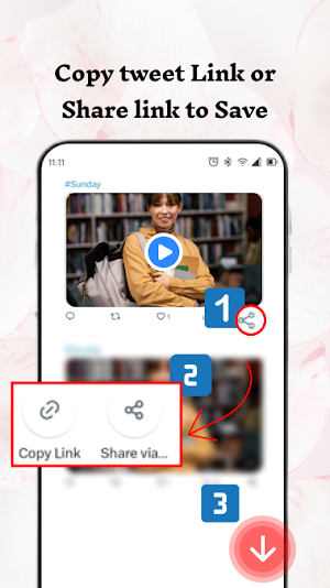Video Downloader for Twitter Screenshot 0