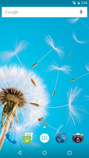 Wallpapers Dandelion Screenshot 0