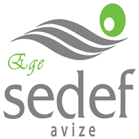 Sedef Avize
