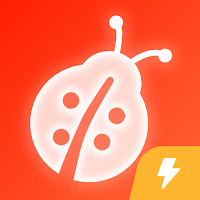 Beetle Novel Lite