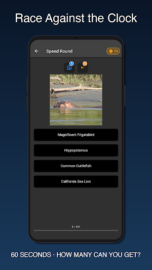 Animals Quiz Screenshot 2