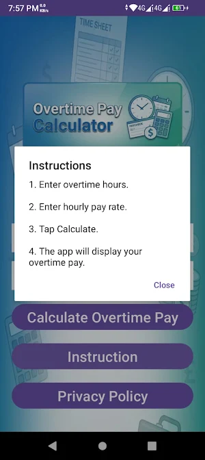 Overtime Earnings Calculator Screenshot 3
