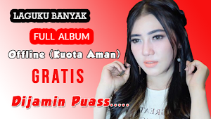 Lagu Dangdut Via Vallen MP3 Screenshot 0