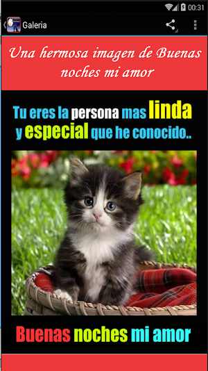 Frases de buenas noches amor Screenshot 2