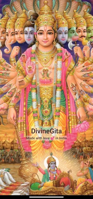 DivineGita Screenshot 0