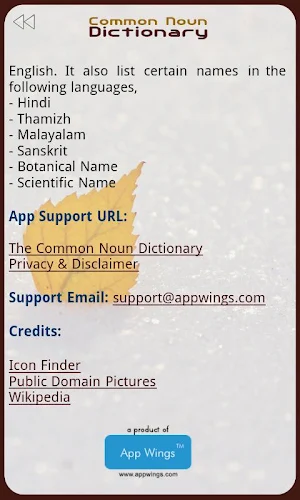 The Common Noun Dictionary Screenshot 3