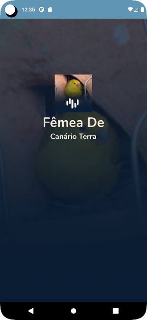 Fêmea De Canário Terra Chamand Screenshot 0