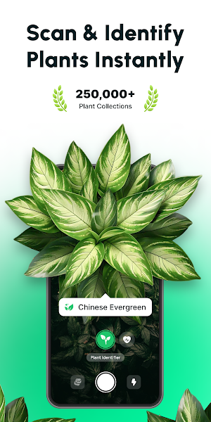 Plant Identifier・Plant AI Screenshot 0