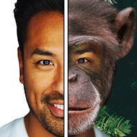 Crazy Monkey Face Filter