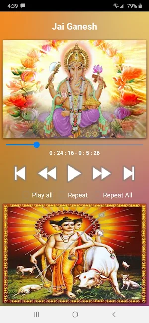 Ganesh Songs Hindi Screenshot 3