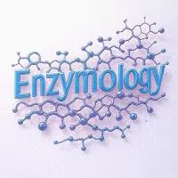 Enzymology Notes