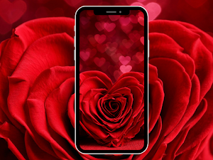 Flower Wallpapers Screenshot 1