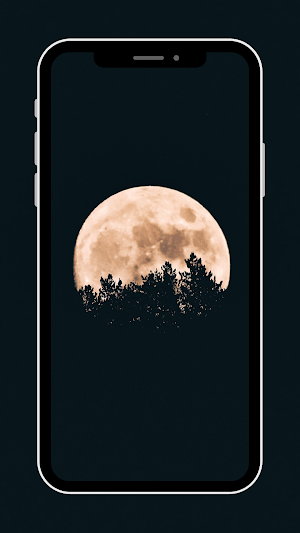 Moon Wallpaper Screenshot 3
