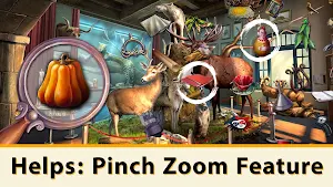 Hidden object Pirate Island Screenshot 3