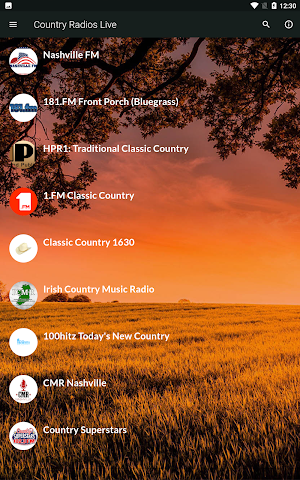 Country Radios Live Screenshot 0