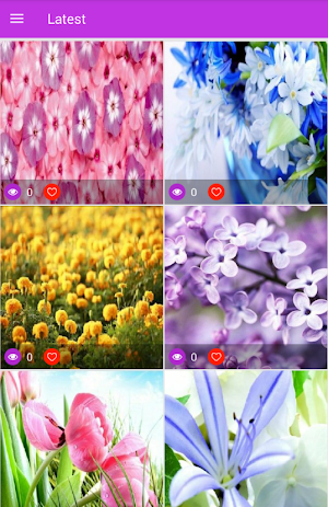 Best Flowers Screenshot 1
