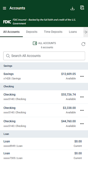 SMBT Treasury Management Screenshot 2