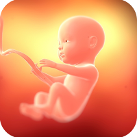 Embryo growth: track Pregnancy