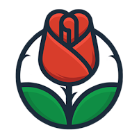 Red Rose Flowers Wallpapers HD