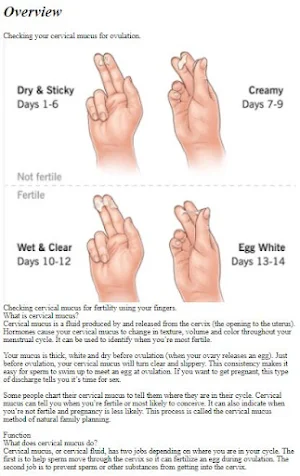 Fertility Awareness Tutorial Screenshot 0