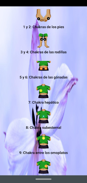 Chakras Secundarios desde Cero Screenshot 0