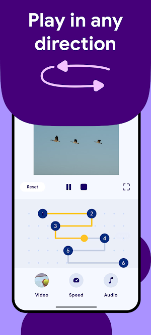 Reverse Video Screenshot 1