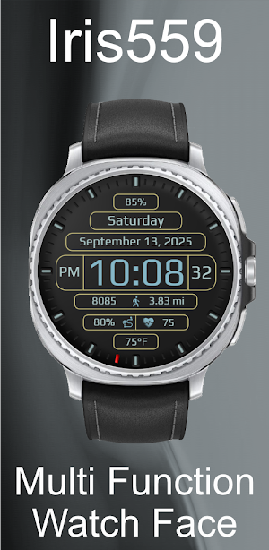 Iris559 Multi-Function Digital Screenshot 3