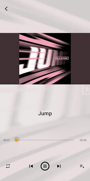 BLACKPINK Songs Offline Screenshot 3