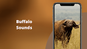Buffalo Sounds Screenshot 0