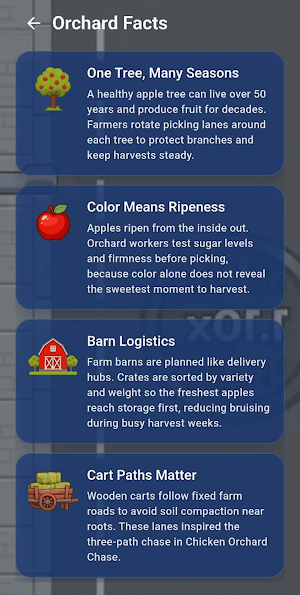 Hen Orchard Chase Screenshot 1