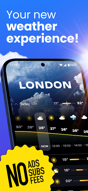 Weather & Cute Cat - OpenPet Screenshot 0