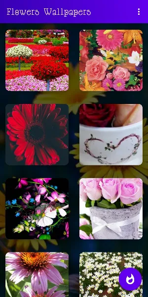 🌺🌹🌷 Flowers Wallpapers : Colorful Flowers Bgs Screenshot 0