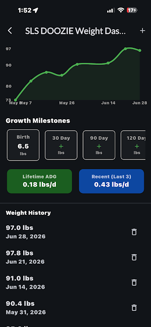 KikoKeeper Screenshot 1