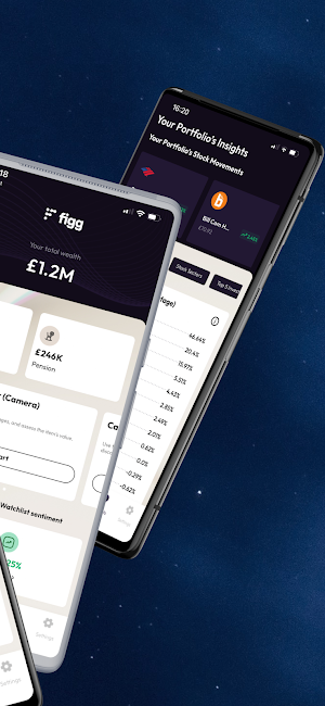 Figg Wealth Screenshot 1