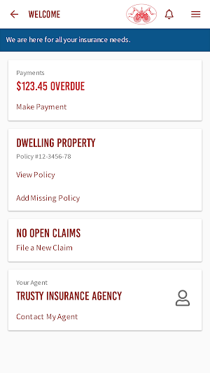 Loudoun Mutual Insurance Screenshot 0